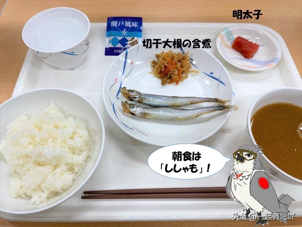 印度的军队伙食,印度部队伙食与解放军对比