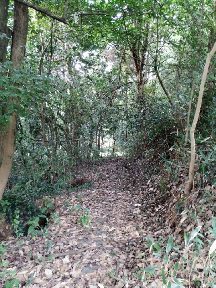 郴乐古道之水头江宜乐古道--广东省乐昌市庆云镇