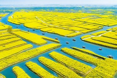 农业技术进步的现状思考与对策,农业科技发展现状和趋势