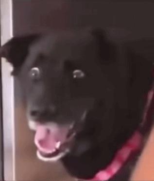 “坑”的钱不多，但*辱侮**性极强