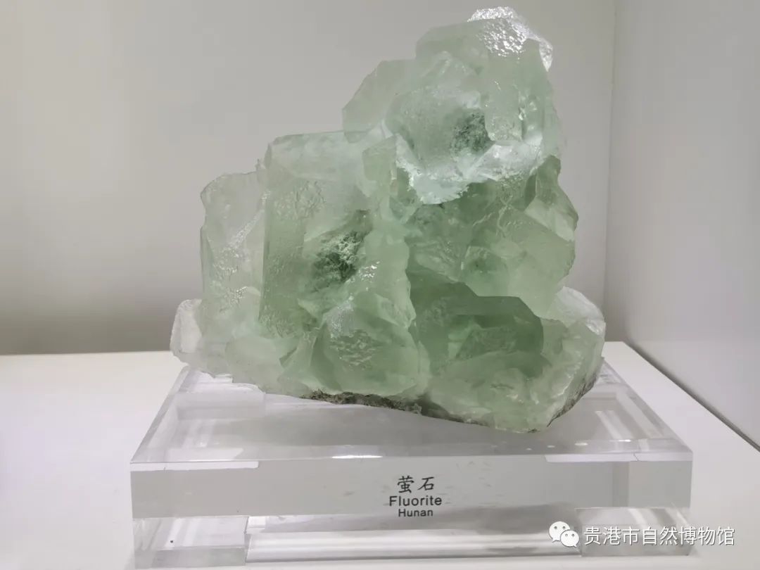 贵港自然博物馆有什么藏品,贵港自然博物馆的化石是真的吗