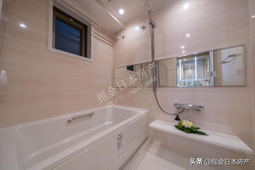 东京豪华2居室公寓,东京2ldk公寓多少钱