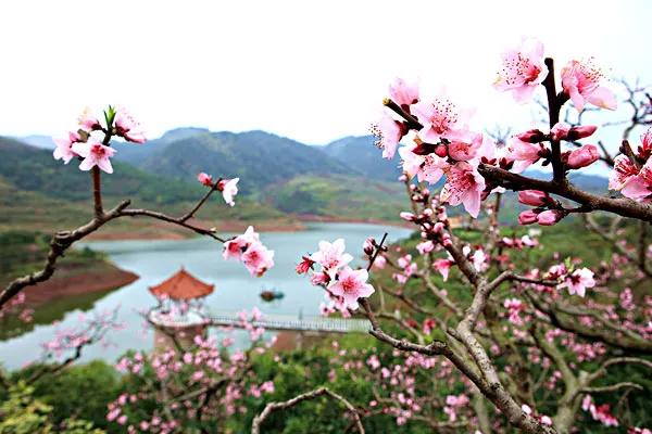 七绝春日二首原创,春日七绝诗十首