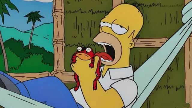 舔癞蛤蟆上瘾,美国舔蟾蜍