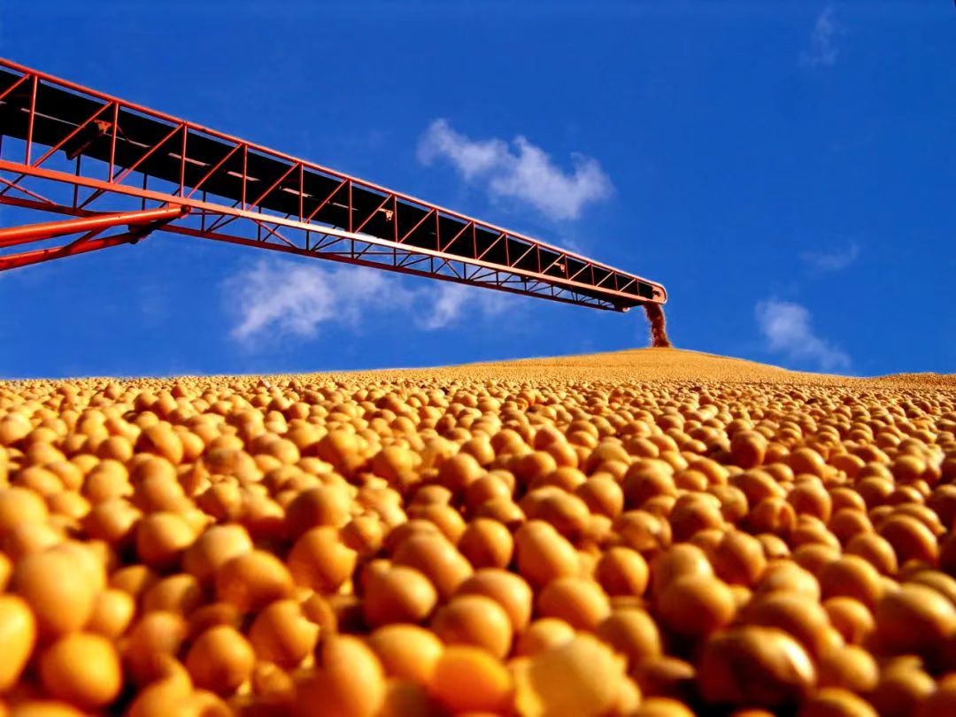 北大荒二次创业营销,二次创业北大荒