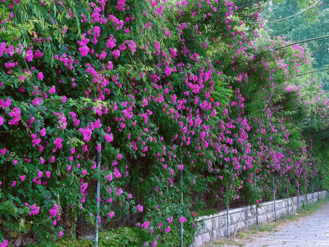 海边城市吃海鲜推荐,海边适合吃海鲜的小众城市