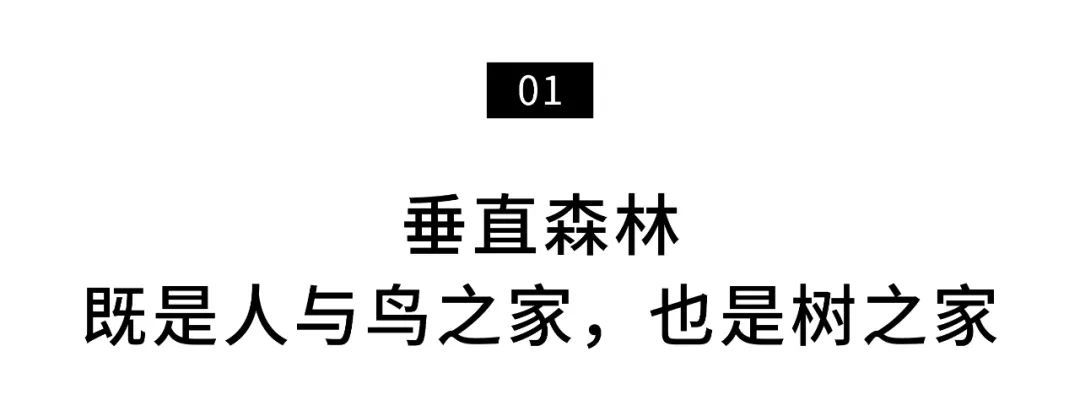 中国第一个垂直森林住宅项目,黄冈垂直森林住宅