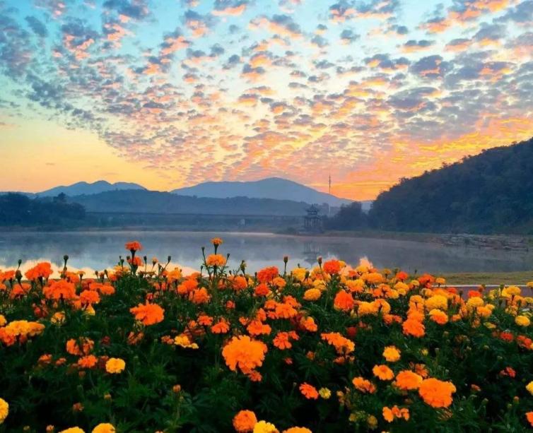 上海附近去哪里泡温泉,上海附近泡温泉一日游攻略