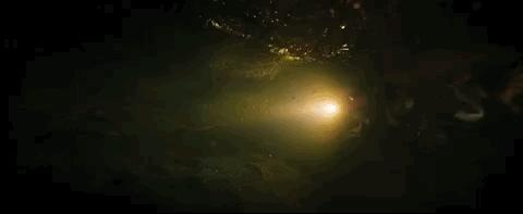 今年最高分了，还在涨