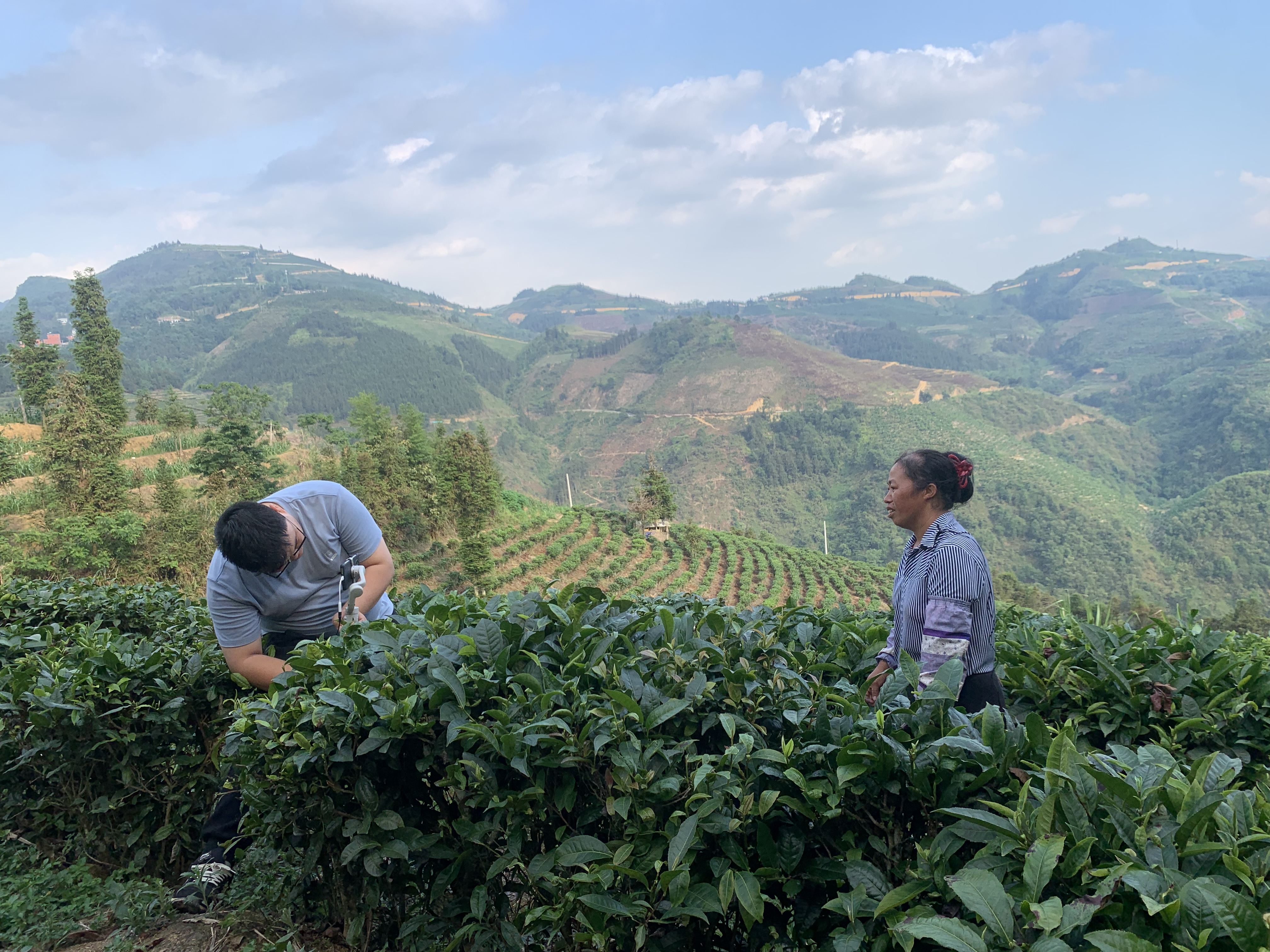 麻栗坡县电子商务公共服务中心5月工作总结