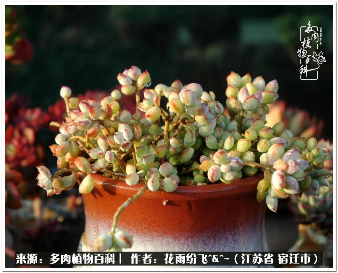 快乐的童年时光视频,回味快乐的童年美好的时光