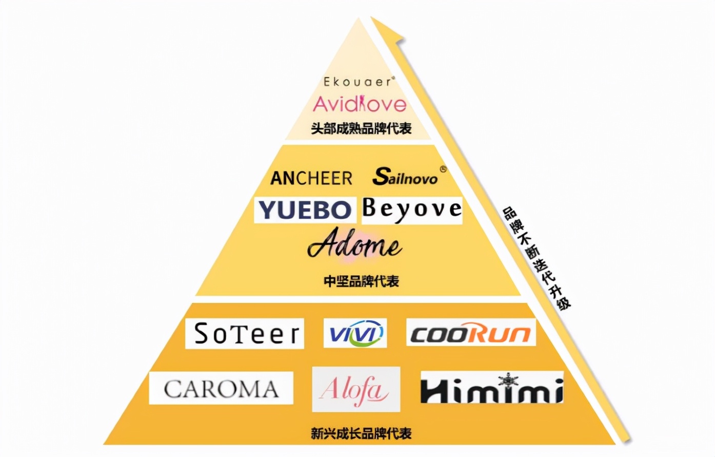 赛维与子不语：亚马逊“爆款制造机”，Shein之外的时尚军团