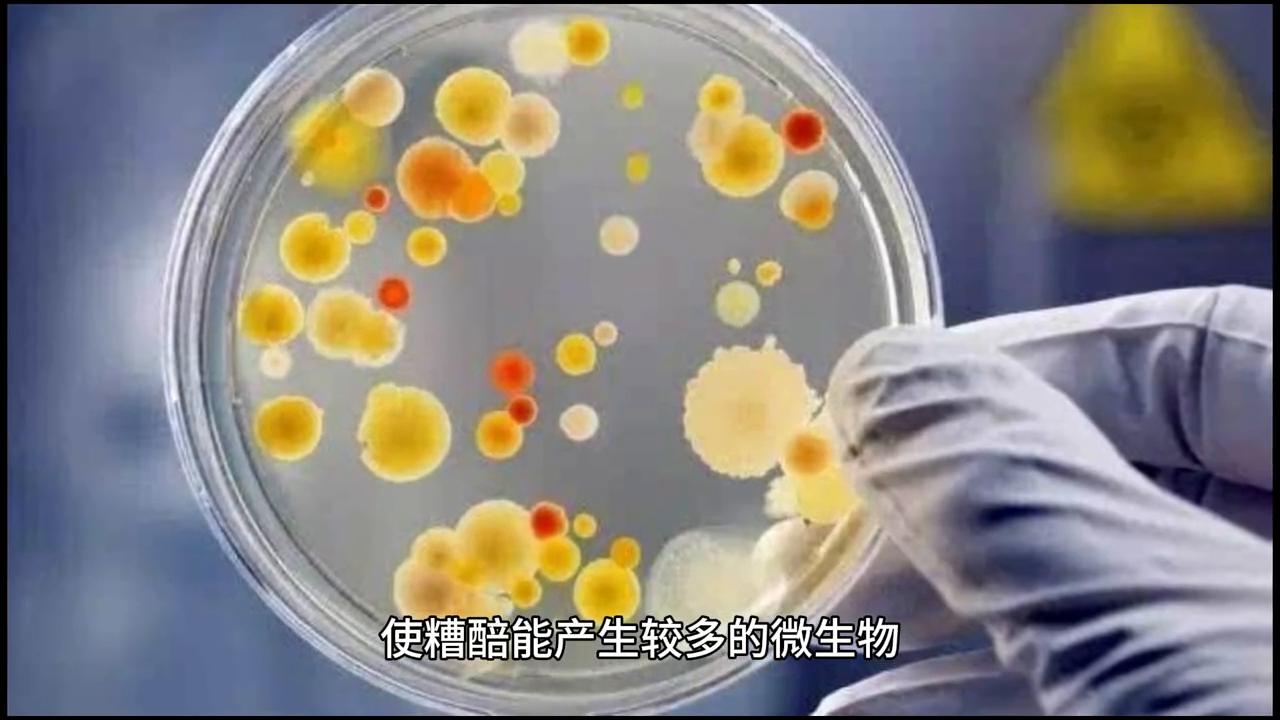 蒸汽出酒率低怎么解决,酿酒出酒率低是什么原因