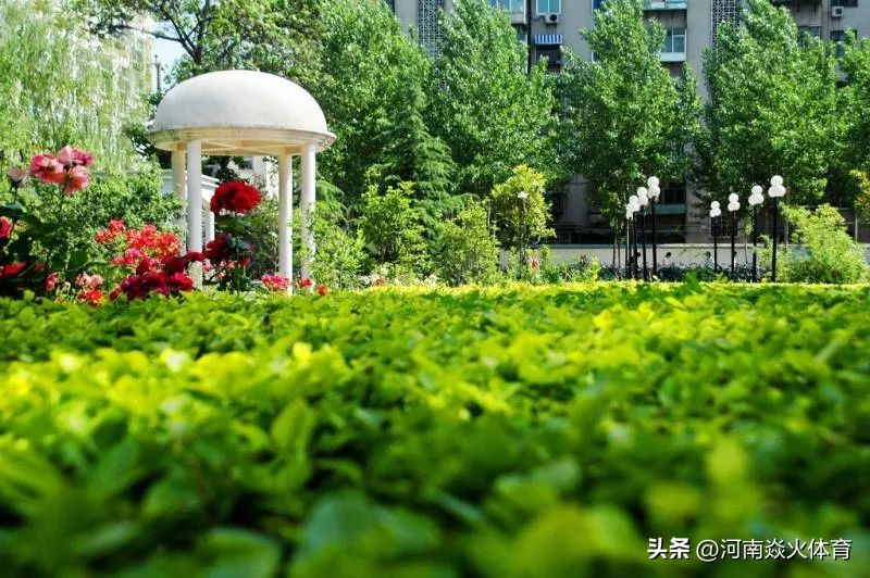 中考志愿第一批次有哪些学校,中考分数怎么预估你能上哪所高中