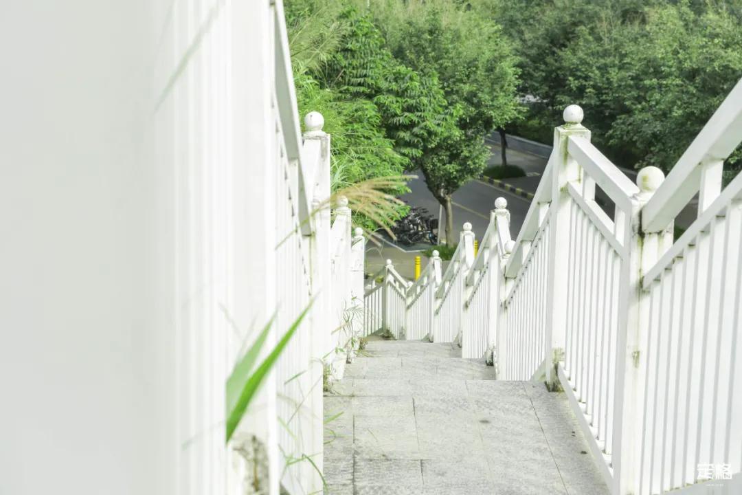 深圳百米长「纯白登山梯」，打卡绝了