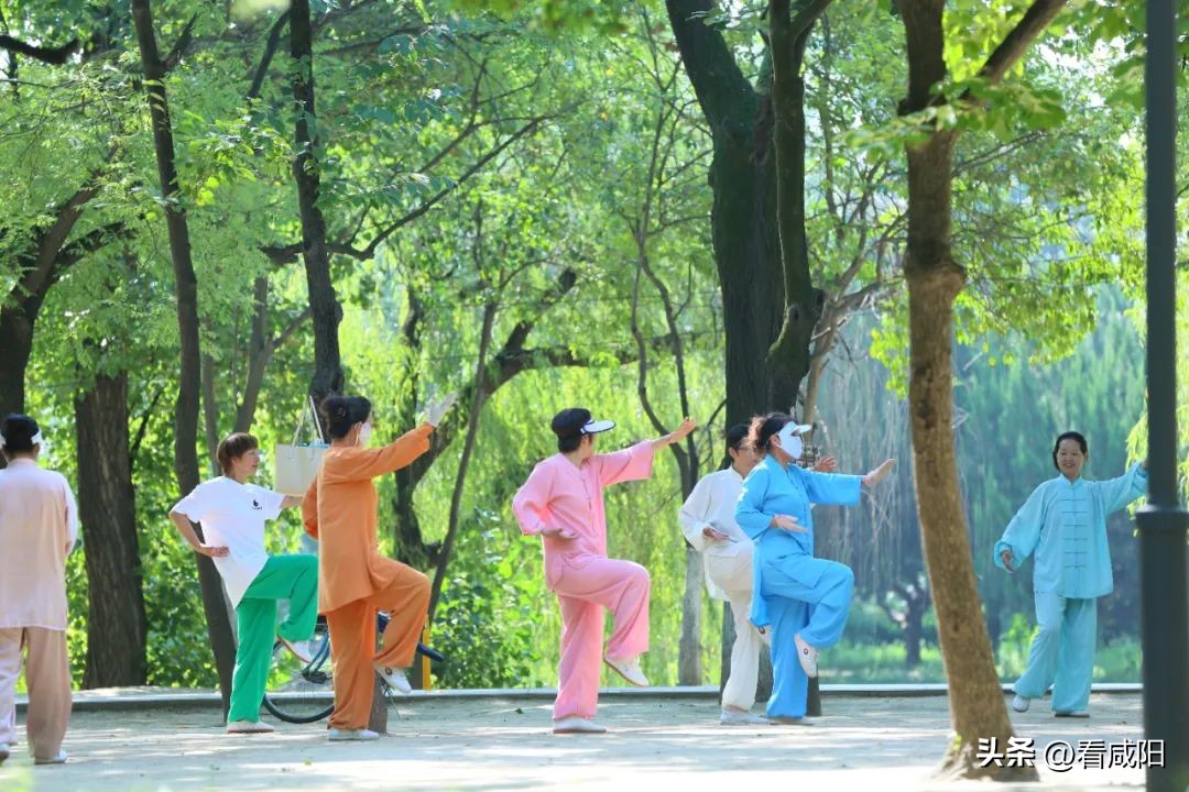 缤纷夏日畅游咸阳直播,缤纷夏日游活动在哪