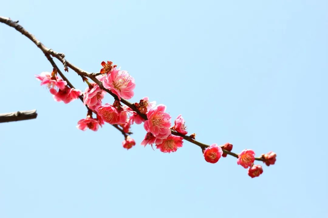 最好的十首唐诗,唐诗中最唯美的四字诗句