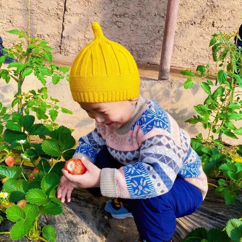 永靖旅游攻略一日游多少钱,永靖秋日一日游必去景点