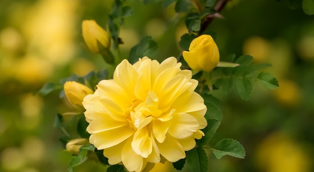 独具性格魅力让人久处不厌的星座,能力很强但是人缘很差的星座