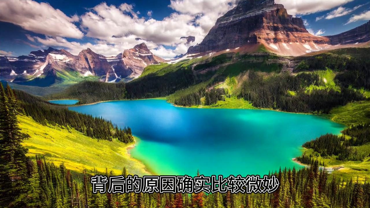 做期货交易的感悟,什么样的人适合做股票交易员