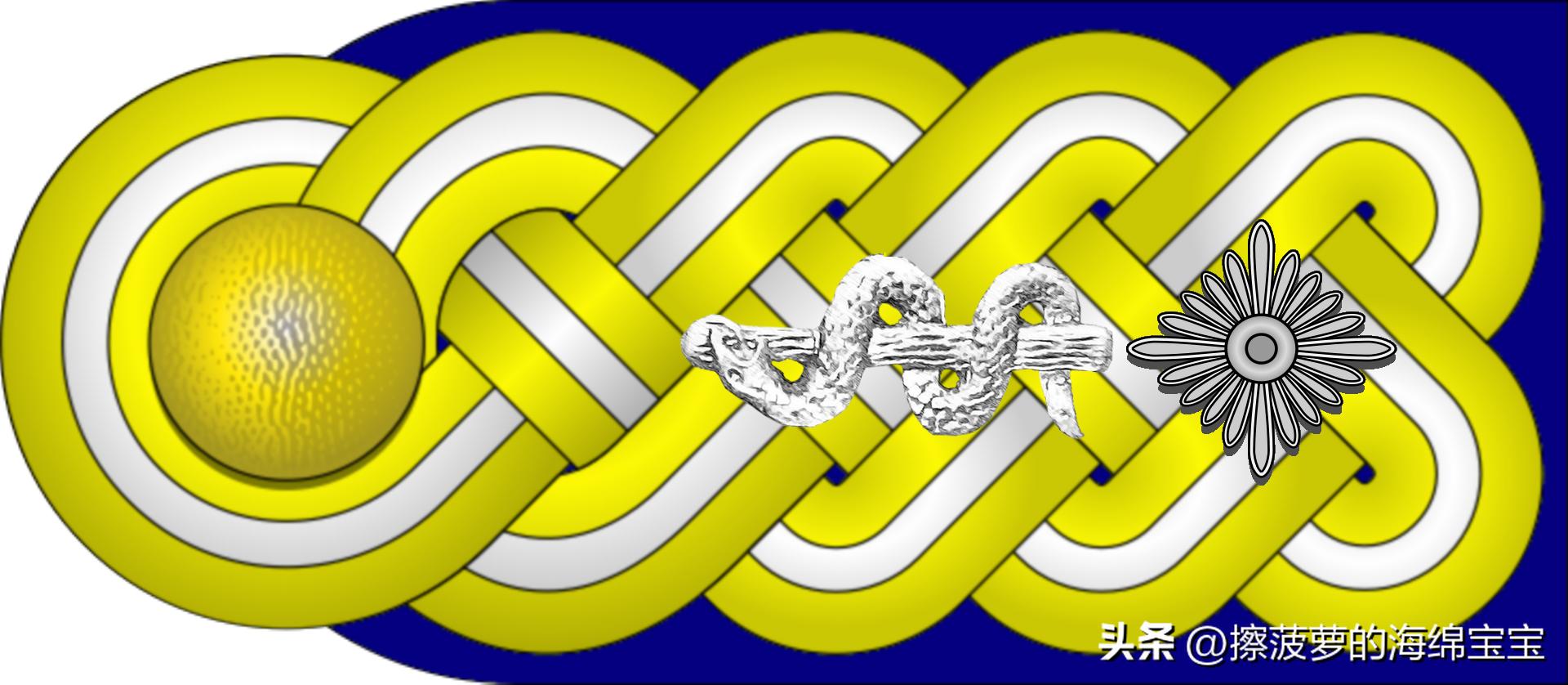 二战德国国防军医疗兵军衔标志