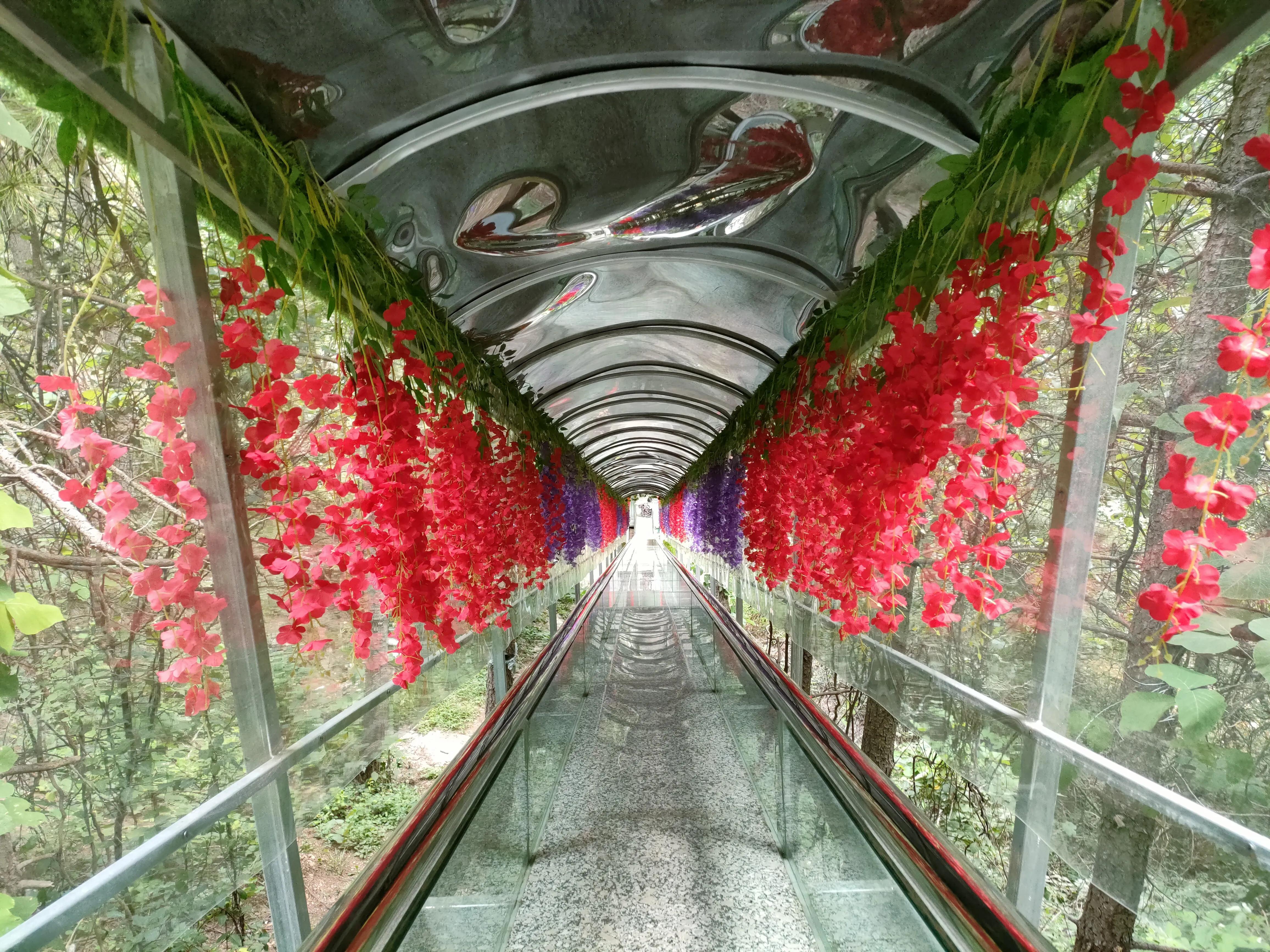 秦岭江山景区怎么样,秦岭江山景区最新通知