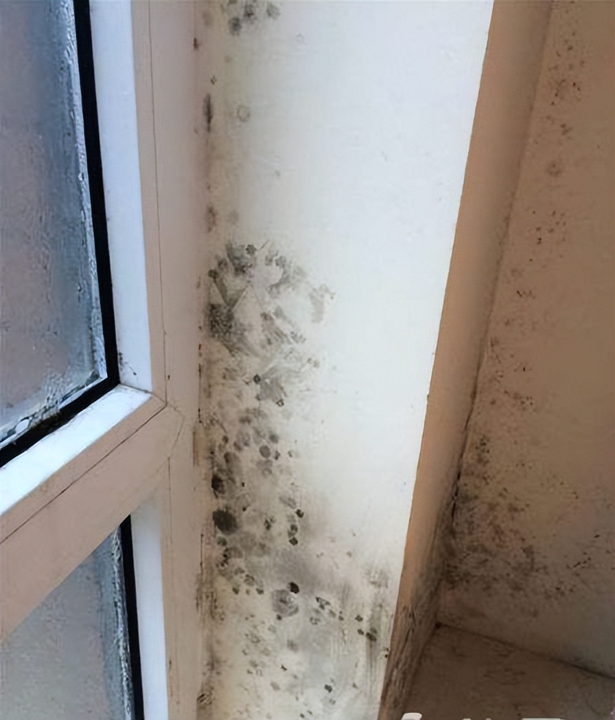 窗户关严实漏风,窗户有冷风怎么处理