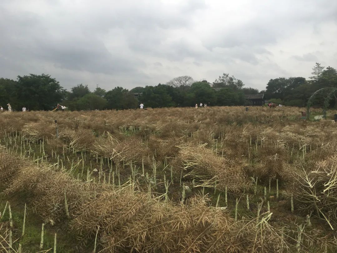 旭光电动车行,旭光车行向阳路