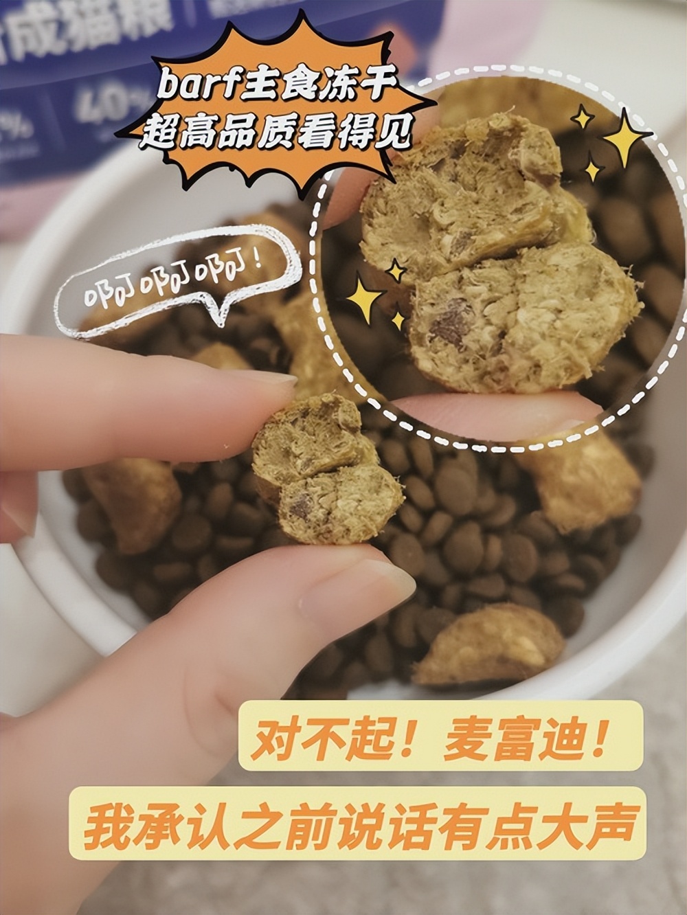 猫咪为什么突然疯了一样的咬东西,猫咪总咬东西是什么原因