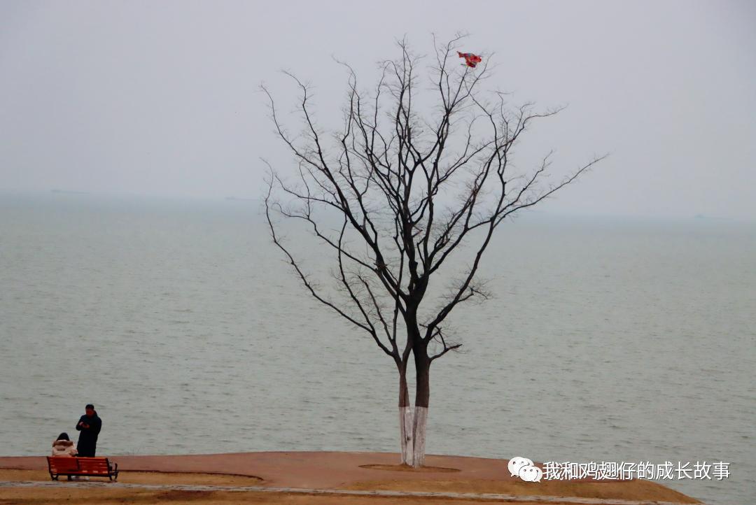 爱美丽推荐城市公园打卡第89-合肥游玩，必去10大经典打卡地推荐