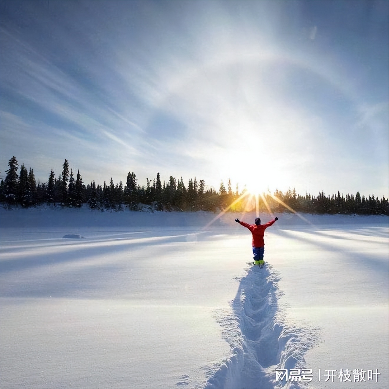 交通信用卡逾期协商分期好协商吗,交通银行逾期协商还款申请怎么写