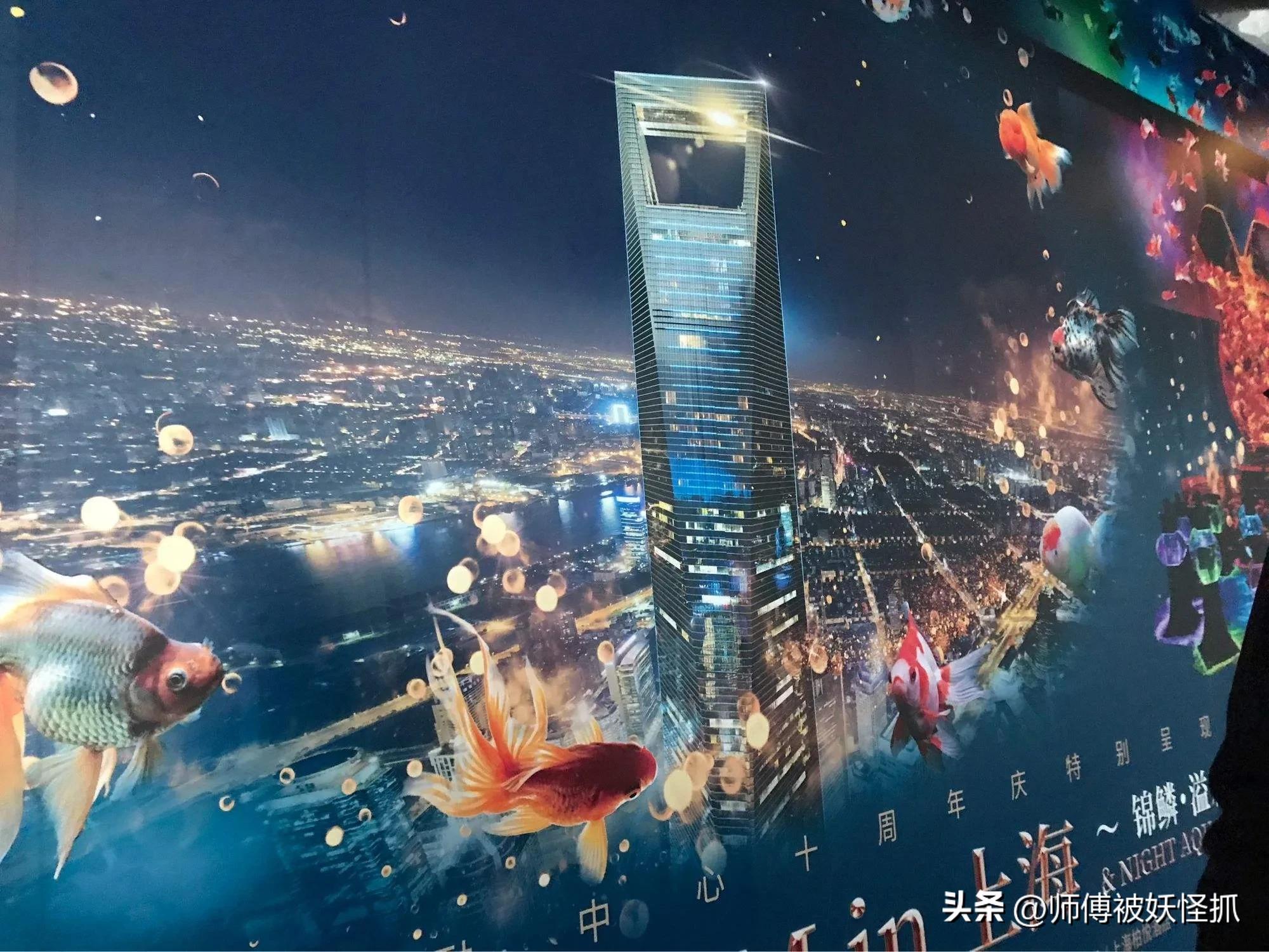 上海环球金融中心建造的全过程,上海环球中心大厦