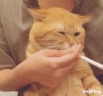 时髦精必备单品,时髦精必入款