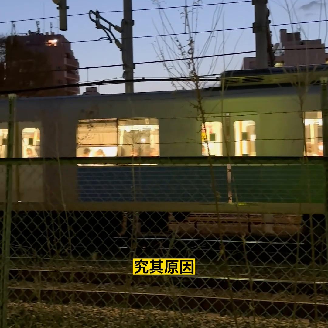 赴日人数逐年上升？今年还有这次机会，可以抓住竞争人数下...