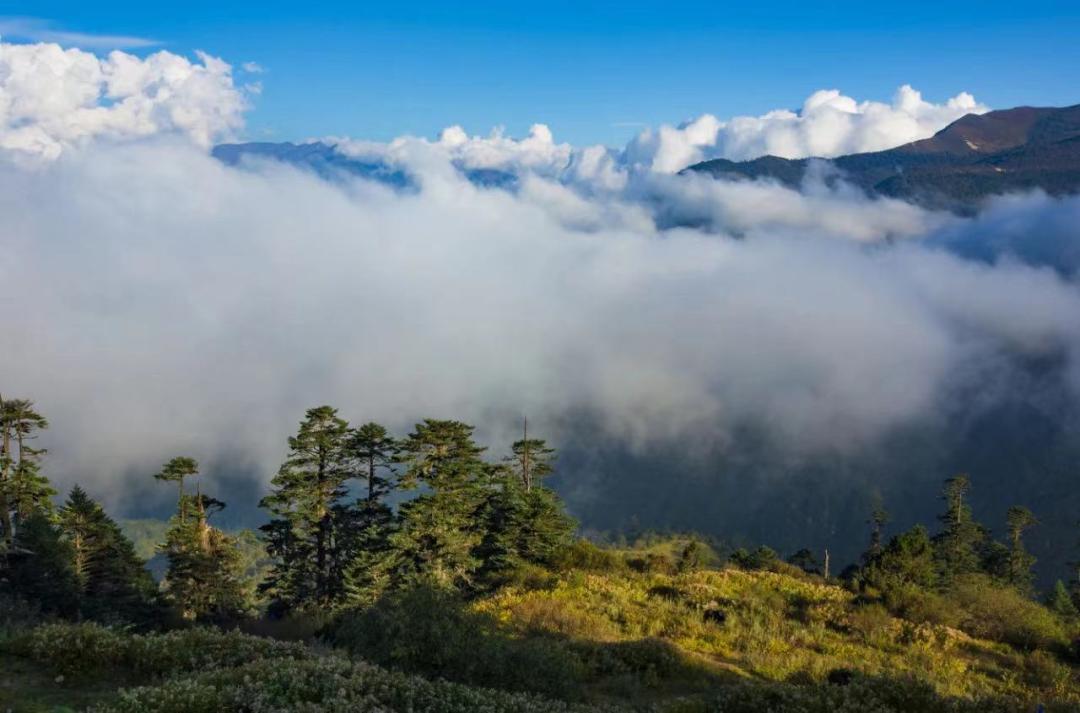 藏西风景,藏西美景视频大全