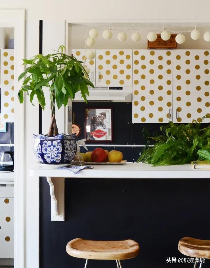 所有关于摇钱树植物护理，从土壤到浇水