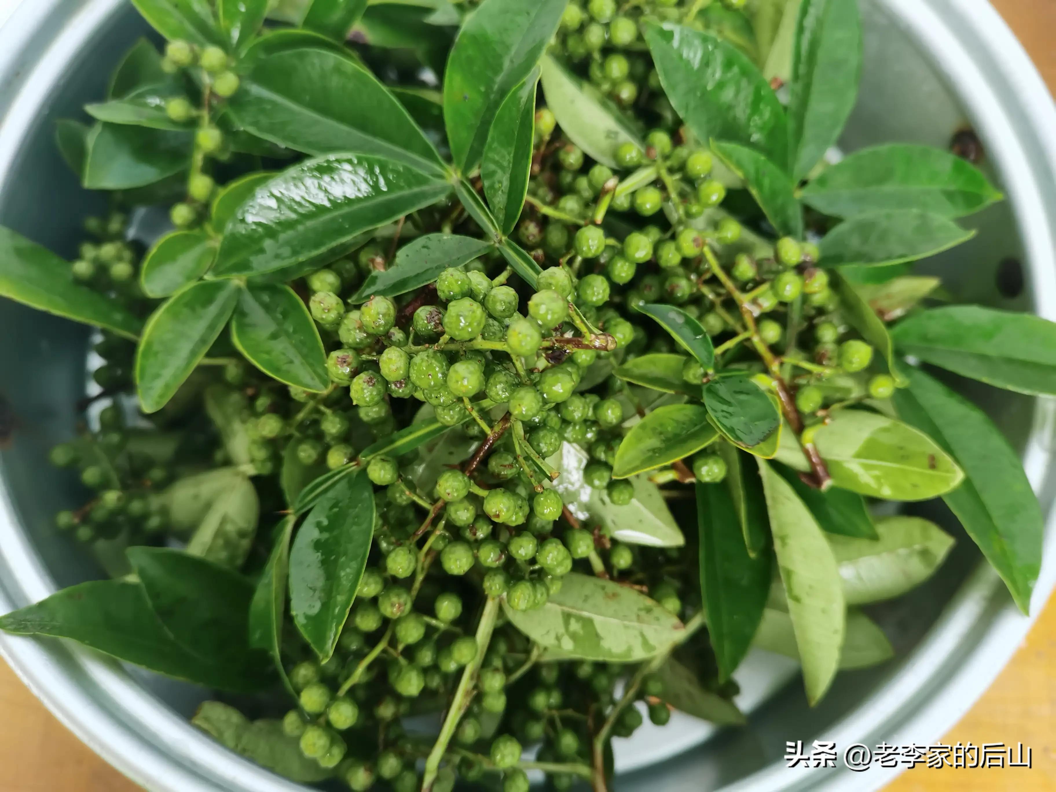 青花椒保存不当变黑了怎么办,新鲜青花椒放冰箱怎么保存