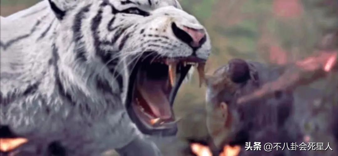 从《他是谁》到《人生之路》，2023年的这6部剧让我失望