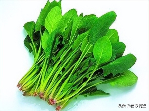 眼睛模糊看不清？中医专家建议：试试食疗！吃这些食物对眼睛有好处