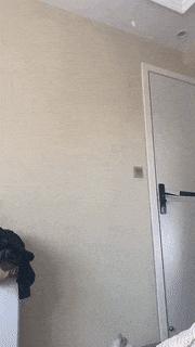 生物老师是女的,生物老师是个女的