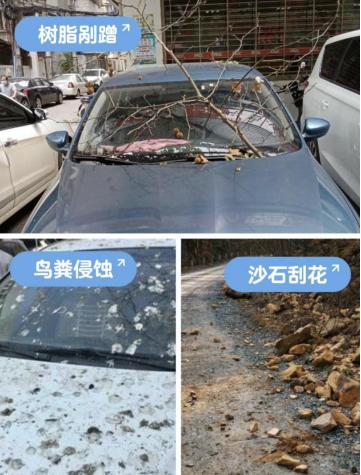 国产十大隐形车衣排名,2024年隐形车衣十大品牌排行