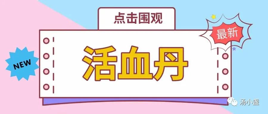 农村常见活血丹也叫金钱草,活血丹草图片