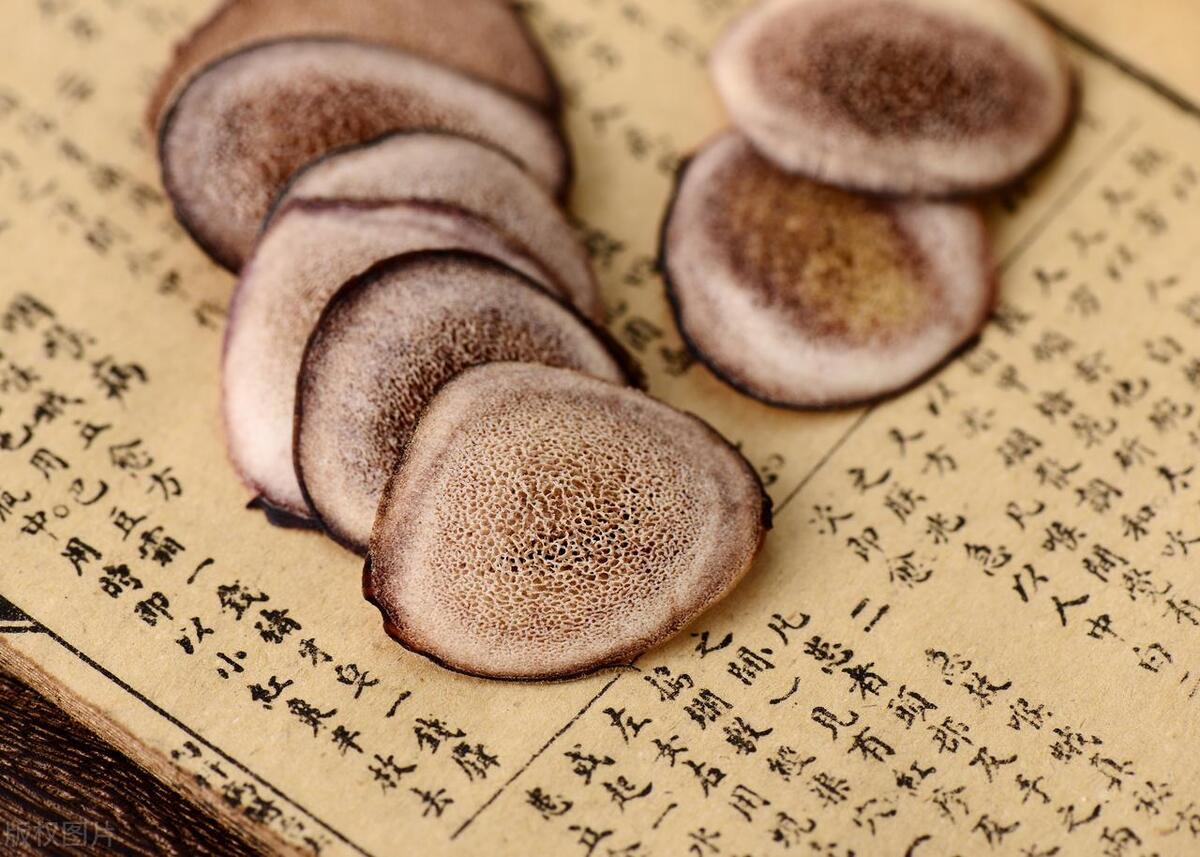鹿茸补阳药,鹿茸补肾健脾补品