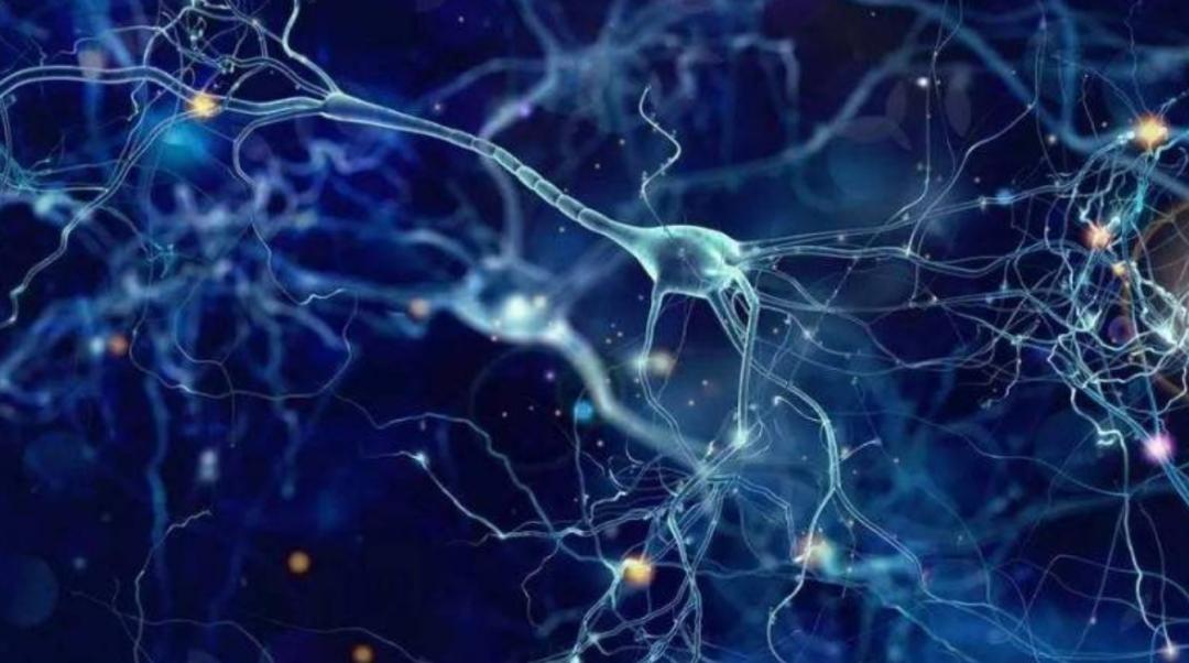 人类大脑为什么越来越厉害,你知道人类大脑的容量有多大