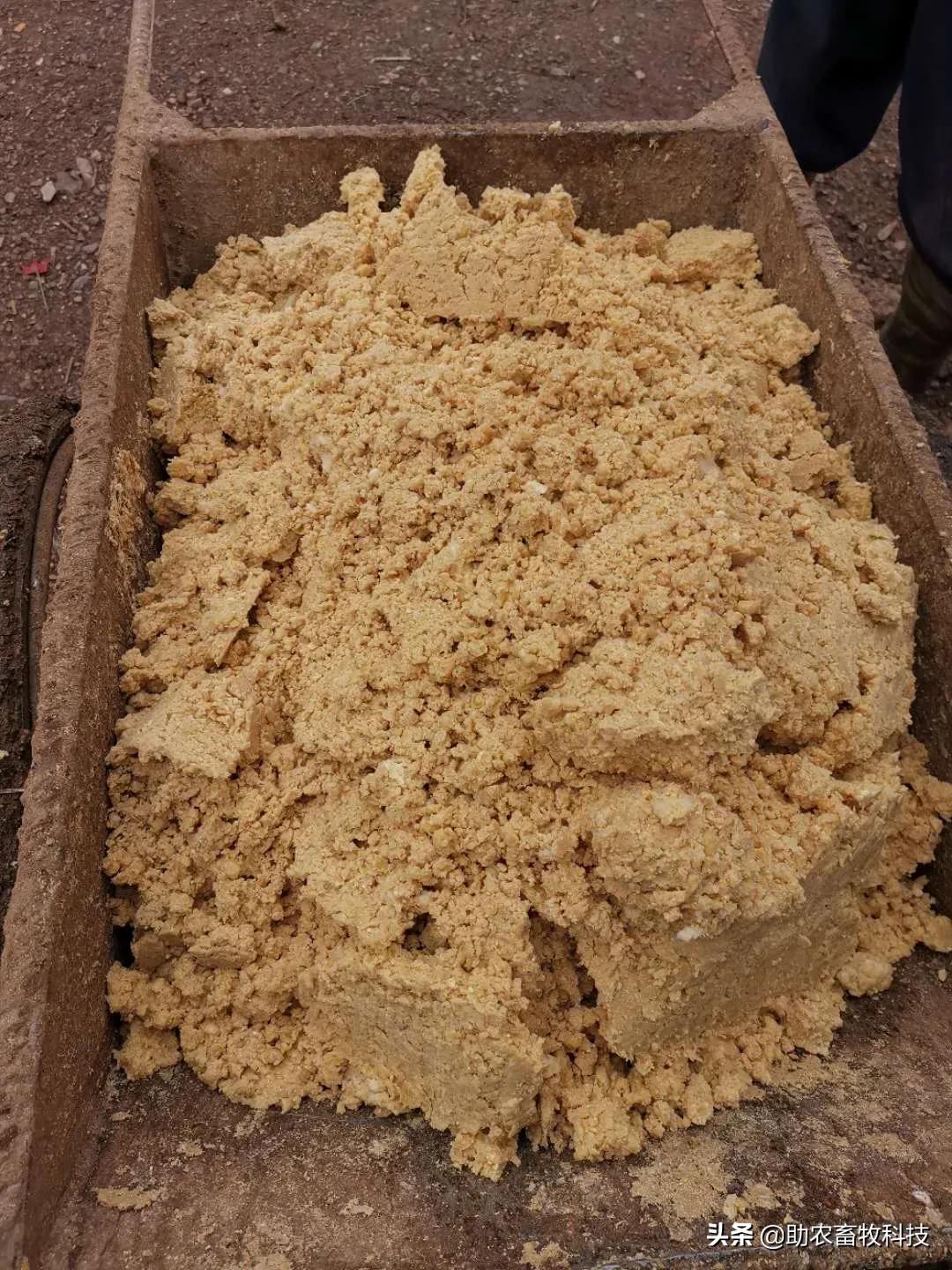 养猪吃饲料和发酵饲料哪种更好,怎样制作养猪发酵饲料