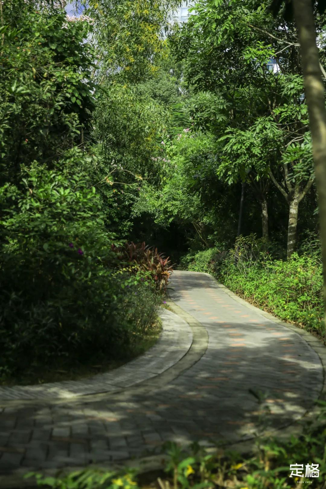 深圳百米长「纯白登山梯」，打卡绝了