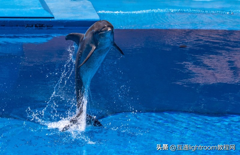 手把手教你如何玩转运动摄影,运动摄影小技巧