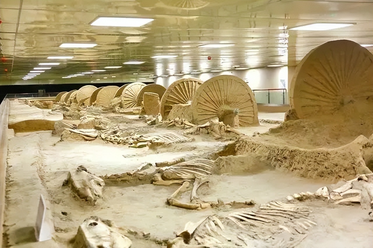 世界杯决赛地址,世界杯足球比赛地点