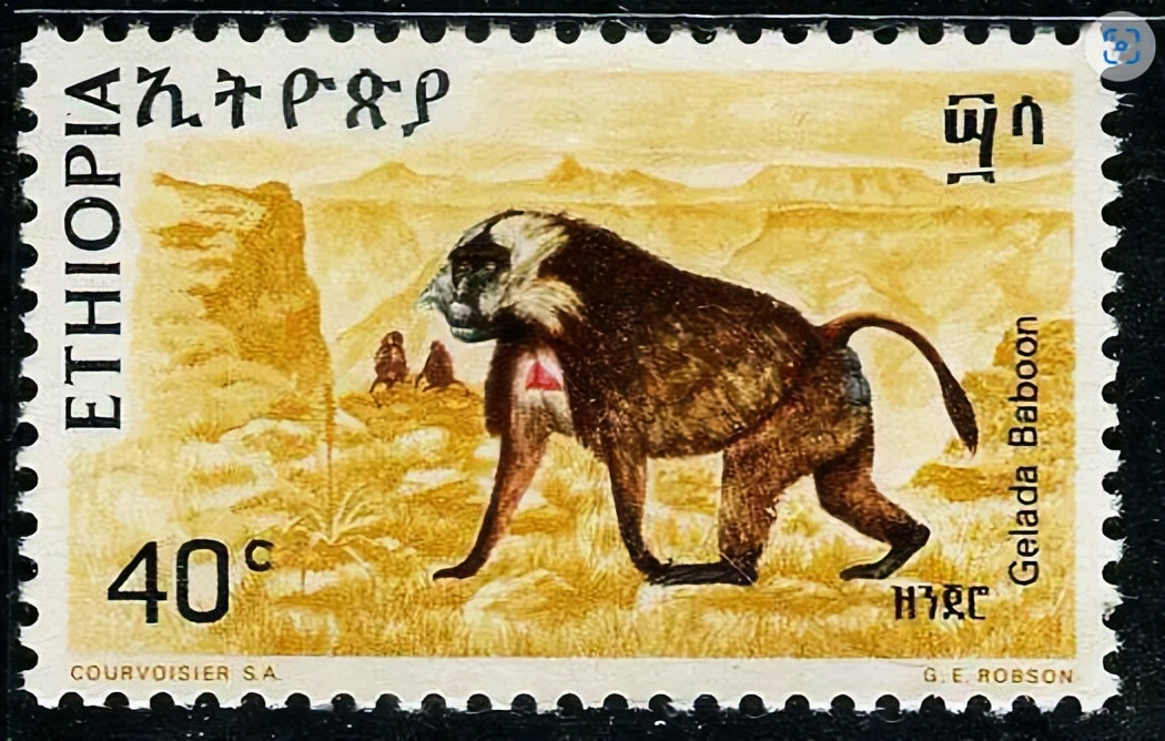 埃塞俄比亚局势对我国的影响,埃塞俄比亚雄狮邮票