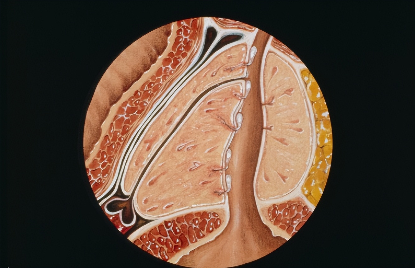 前列腺炎夫妻之间需要注意安全,得前列腺炎和夫妻之间有关系吗